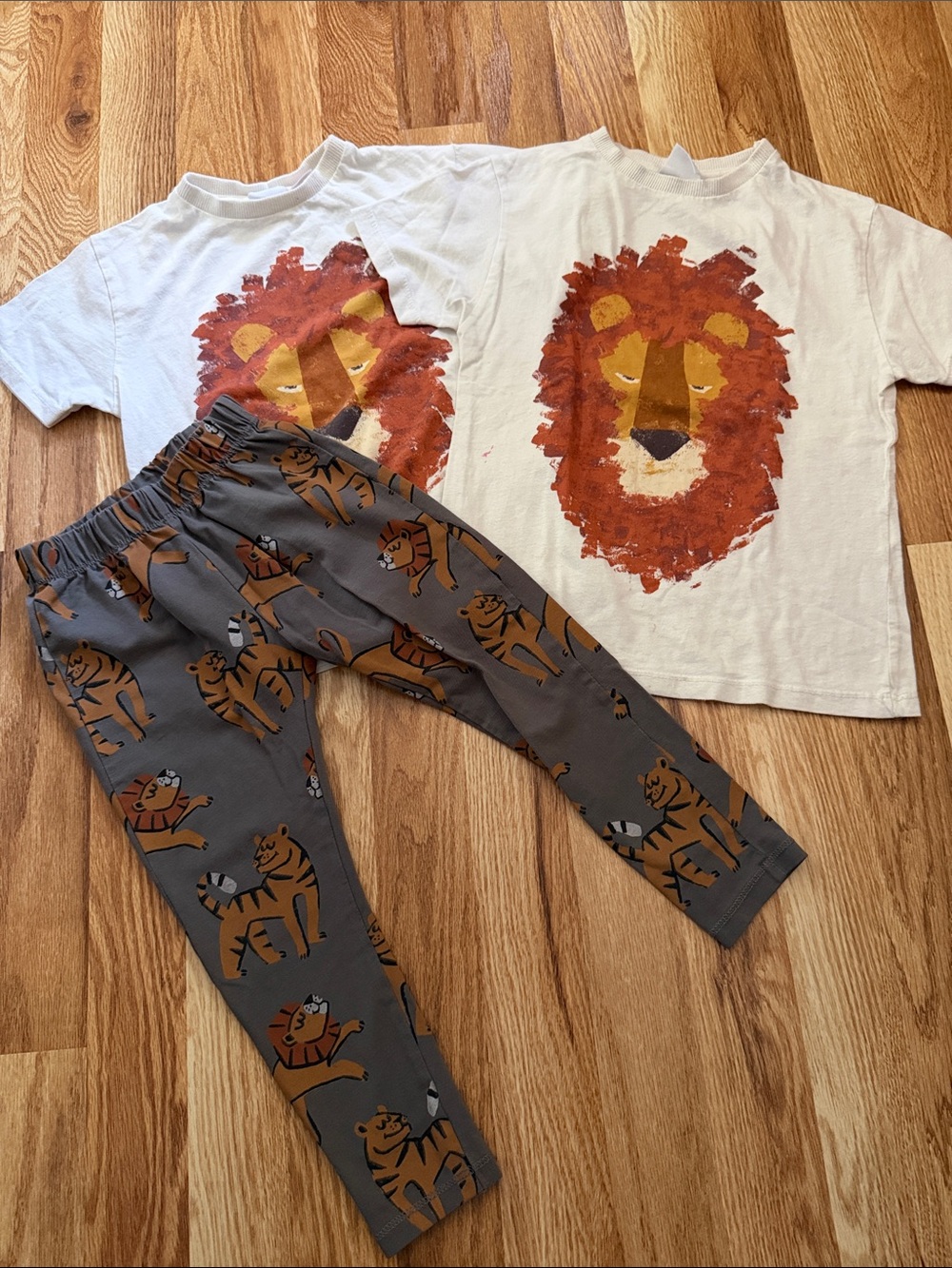 Zara Lion Set